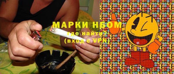 МДПВ Алзамай