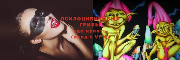 тгк Алексин