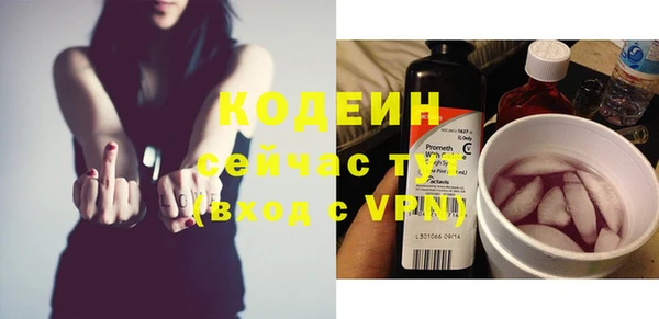 прущие грибы Абинск