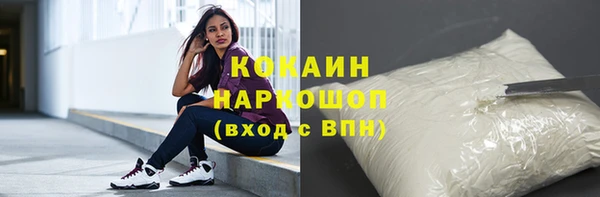 прущие грибы Абинск