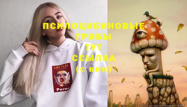 МДПВ Алзамай