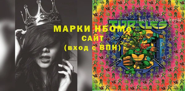 индика Абаза