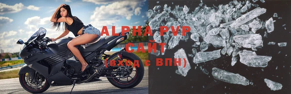 индика Абаза