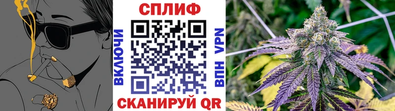 KRAKEN как войти дарнет шоп Абинск Бошки Шишки ГИДРОПОН